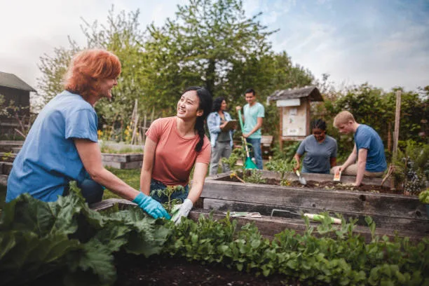 Multiracial group of young men and young women gather as volunteers to plant vegetables in community garden with mature woman project manager advice and teamwork